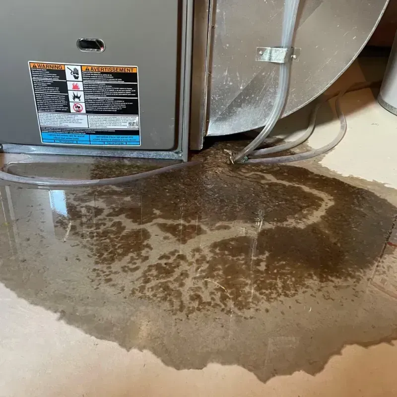 Appliance Leak Cleanup in Trucksville, PA